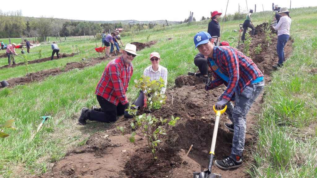Students planting seedlings in a field