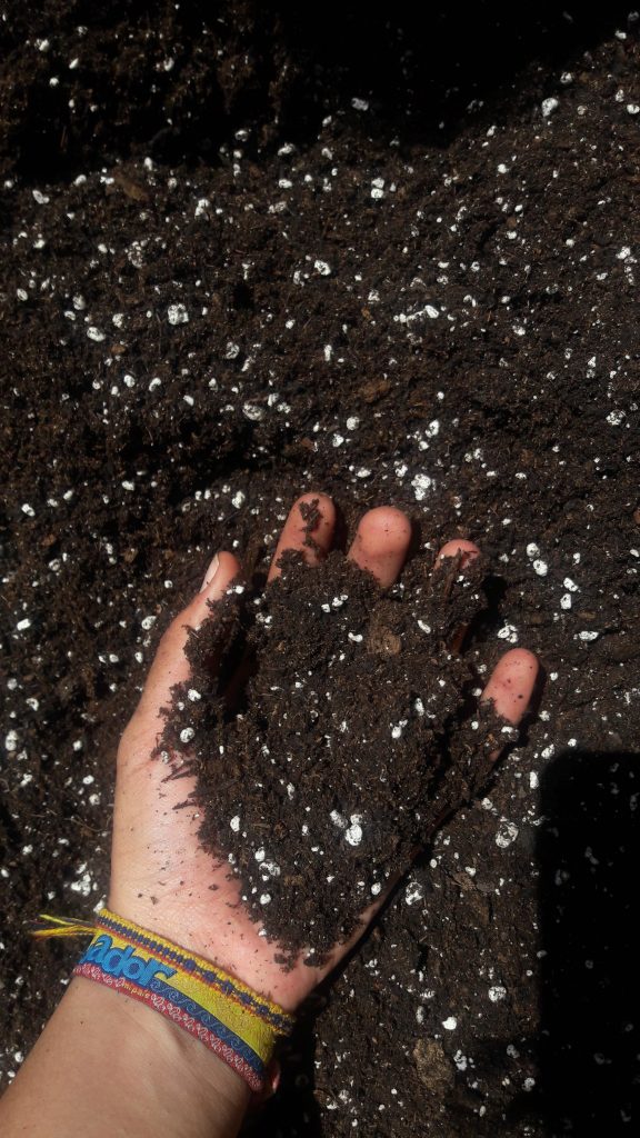A hand is touching soil