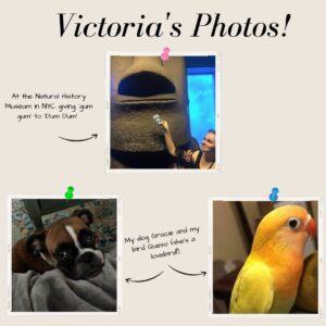 Victoria McCutcheon Profile slide 7