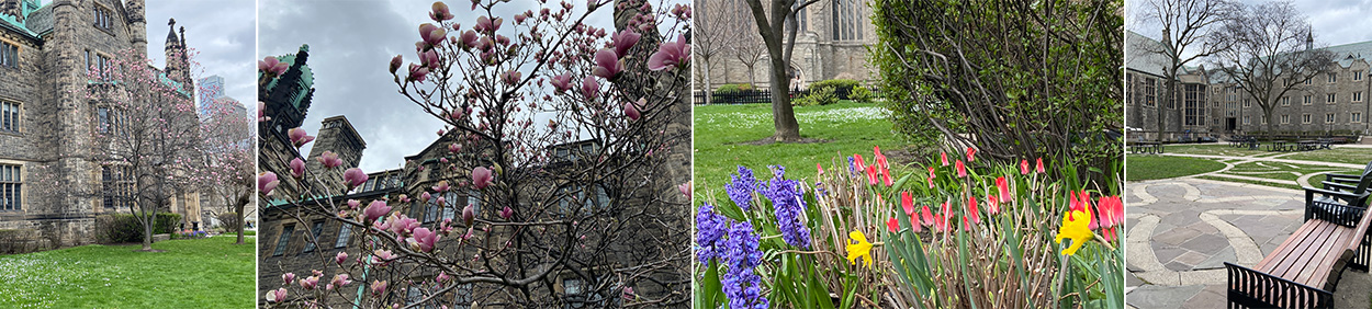 Images of spring on the Trinity campus