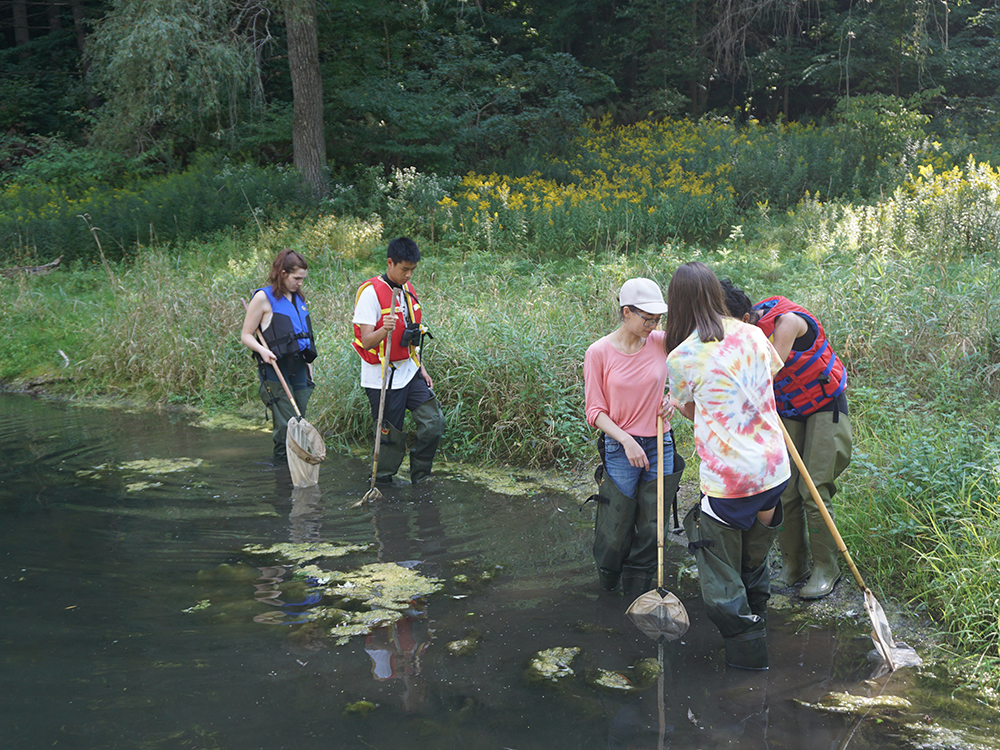 Trinity One field trip to U of T’s Koffler Scientific Reserve: students take water samples