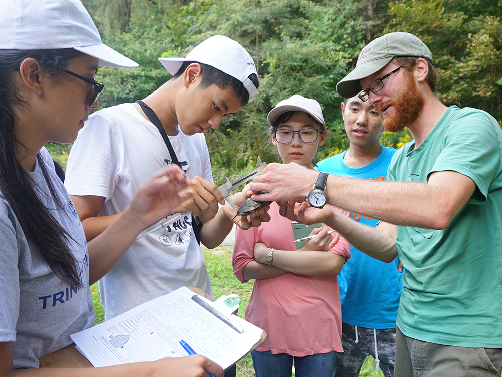 Trinity One field trip to U of T’s Koffler Scientific Reserve: students examine a turtle