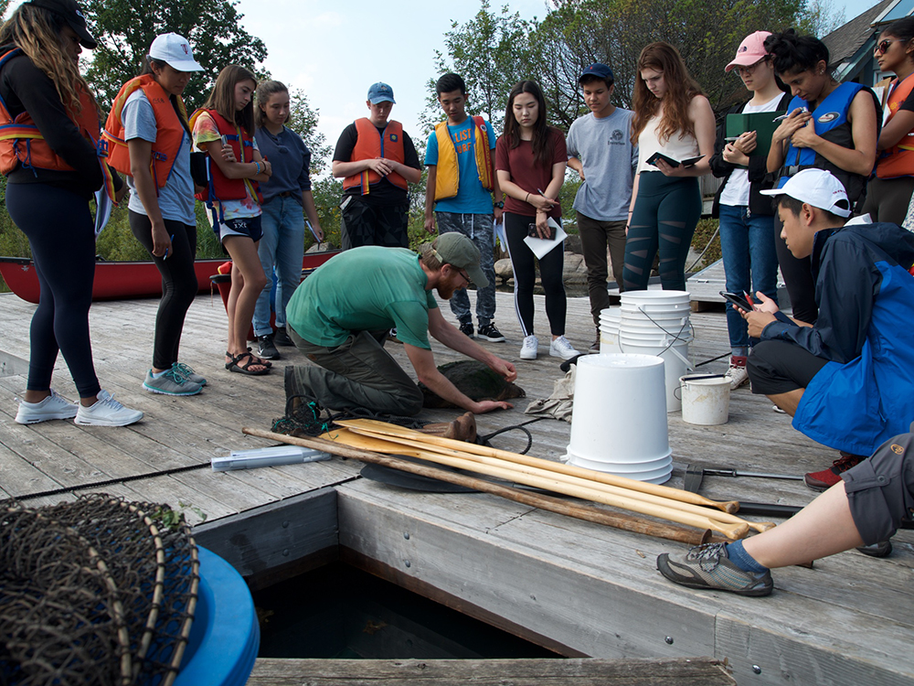Trinity One field trip to U of T’s Koffler Scientific Reserve: students examine a large turtle