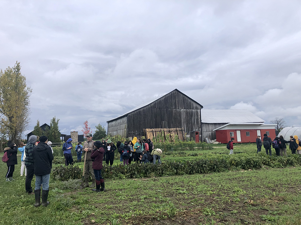 Trinity One students and graduates visit The New Farm in Creemore: October 2021. Students listen to instructor while walking through the field.