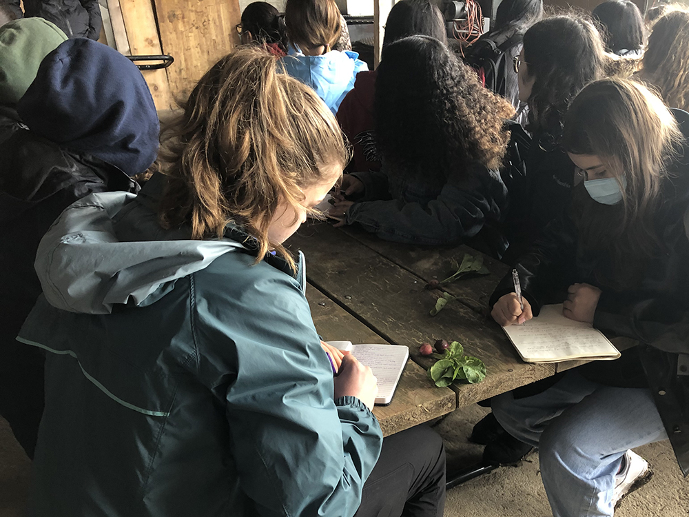 Trinity One students and graduates visit The New Farm in Creemore: October 2021. Student sitting at a table and examining vegetation.