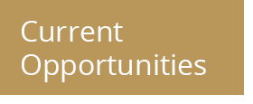 Current Opportunities Gold Box