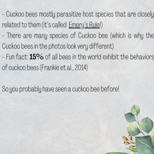 Food Systems Lab: Instagram - Pollinator Profile 1-3