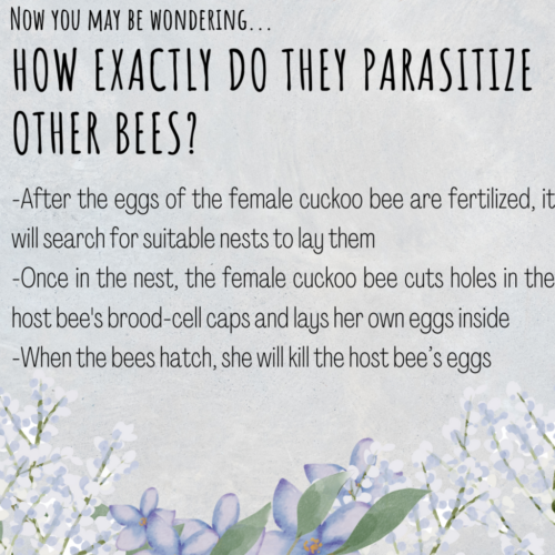 Food Systems Lab: Instagram - Pollinator Profile 1-4