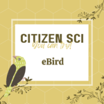 Food Systems Lab: Instagram - Citizen Science 3-0