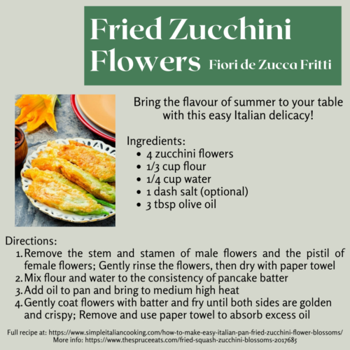 Food Systems Lab: Instagram - Unexpected Edibles: Zucchini Flowers 3