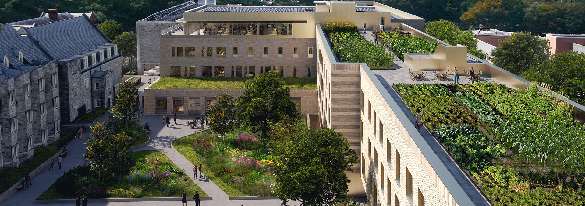 Rendering of the Lawson Centre for Sustainability - Rooftop Garden and surrounding landscape