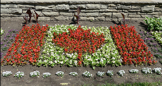 On the front lawn of the main building, flowers are planted in the design of the Canadian Flag for Canada 150