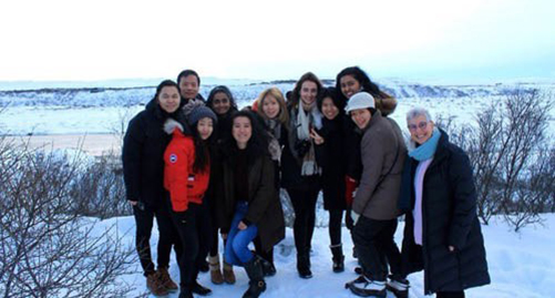 Keshini Mahesan's ICM group poses in Iceland’s Golden Circle
